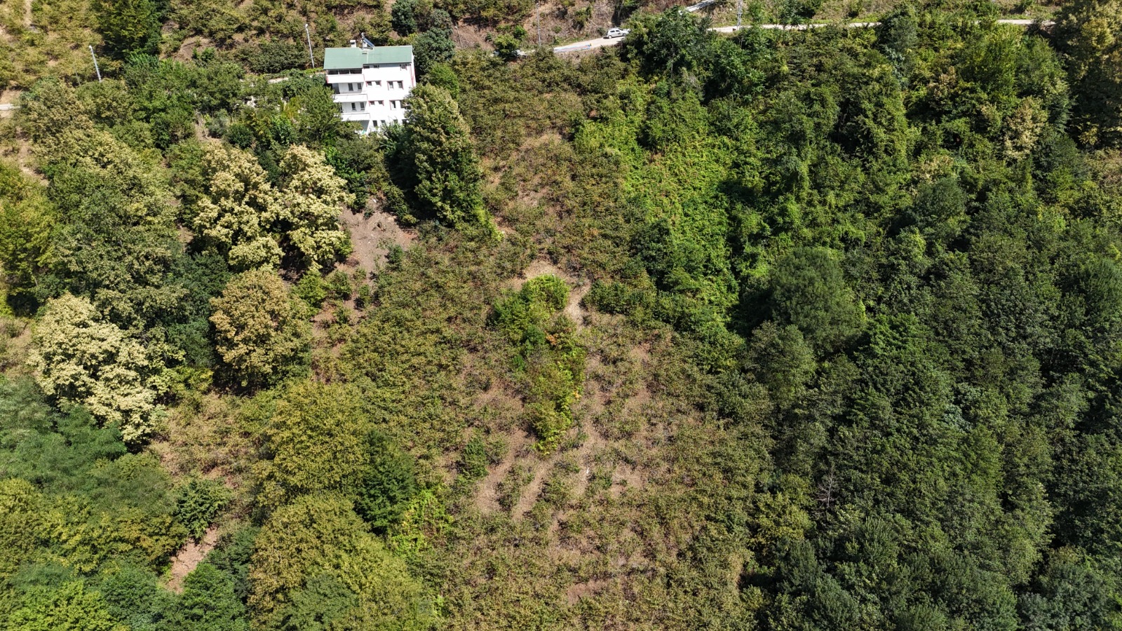 MABEL GAYRİMENKUL/ BEŞİKDÜZÜ/ ZENBEREK MAH SATILIK 5 DÖNÜM ARSA